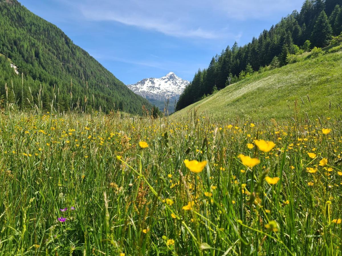 Appartement Skorpion Sölden Kültér fotó